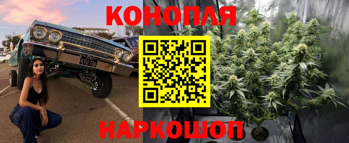 Канабис план Раменское